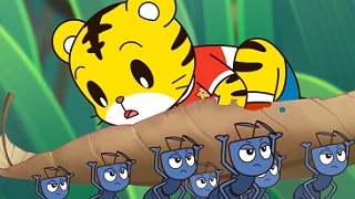 第4集 螞蟻王國