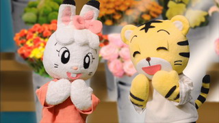 你好，我是琪琪