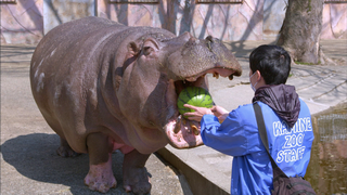 到動物園看動物（一）