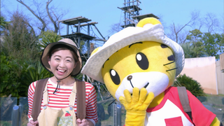 到動物園看動物（二）